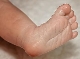 C:\Users\HP\Desktop\foot-baby-baby-foot-newborn-ten-barefoot-small-sweet-cute.jpg